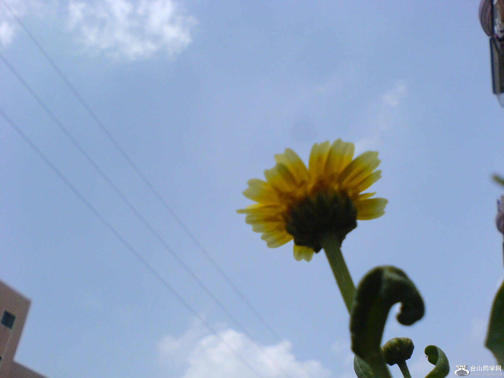 DSC05539.JPG