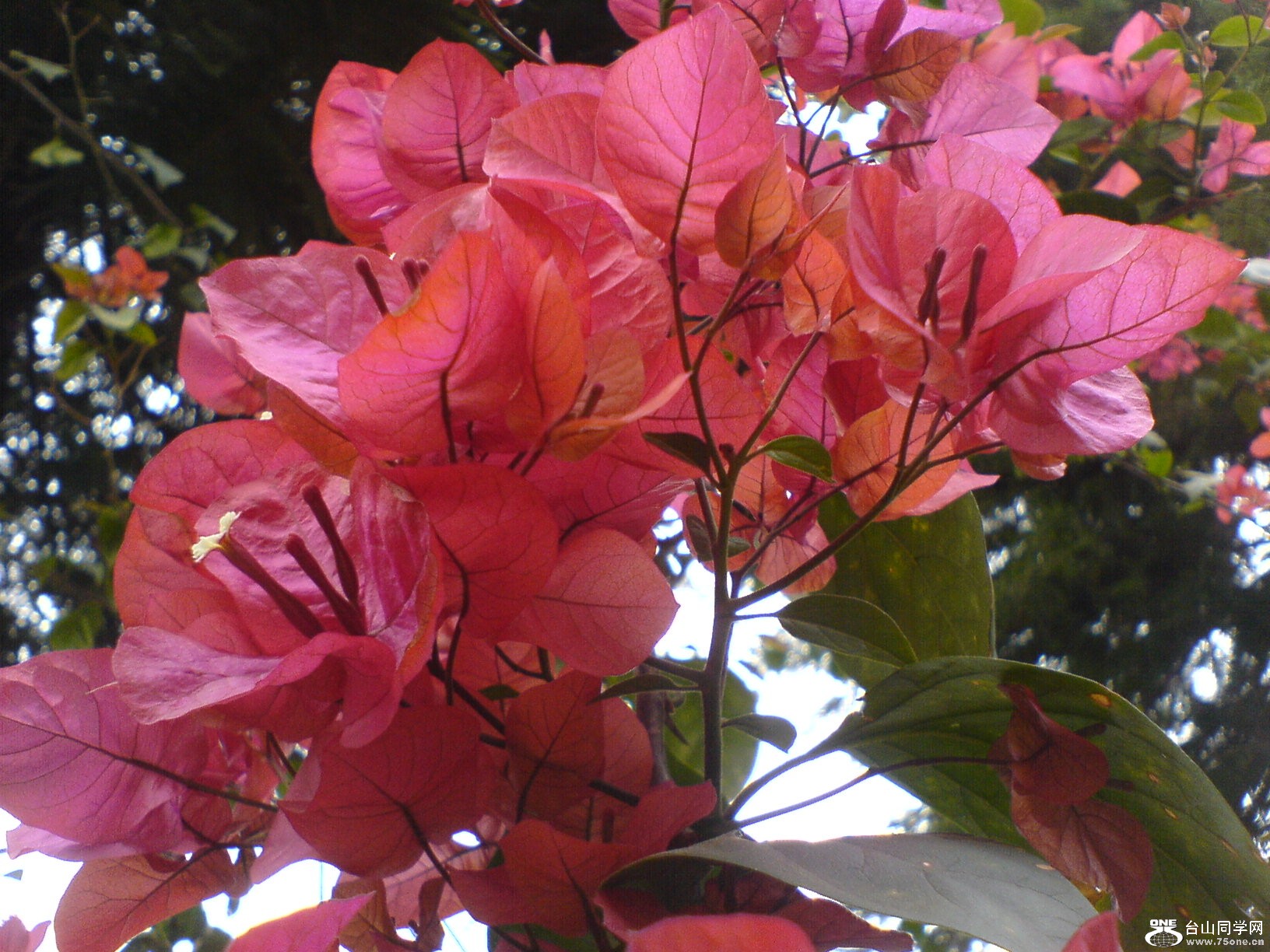 DSC05501.JPG