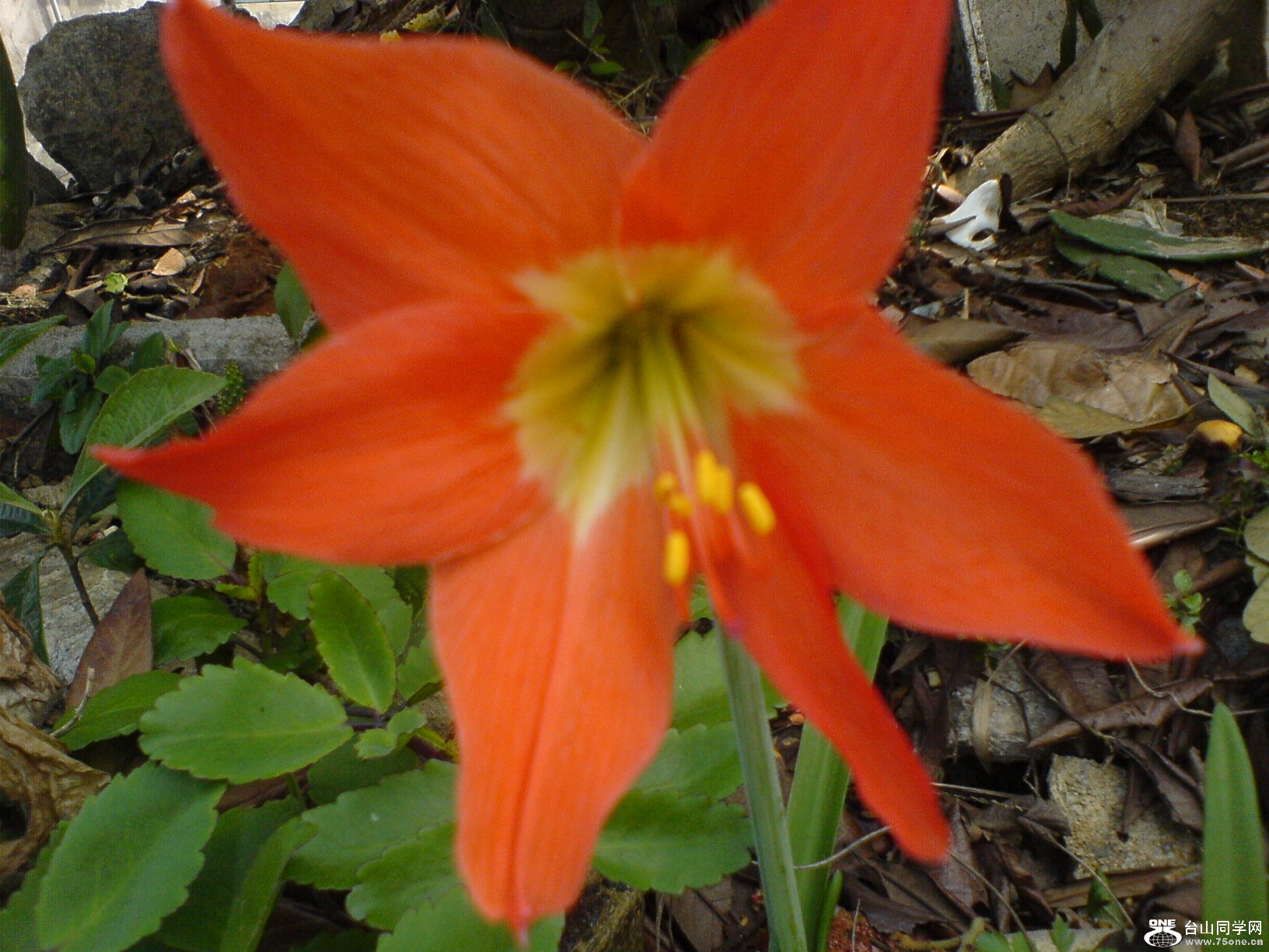 DSC05638.JPG
