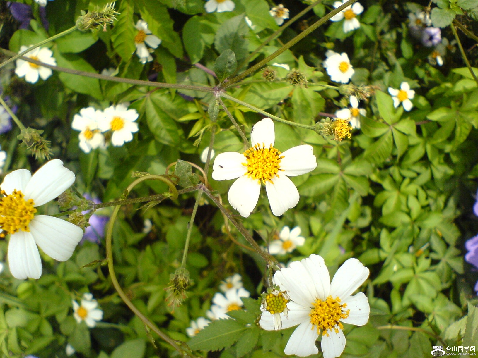 DSC05521.JPG