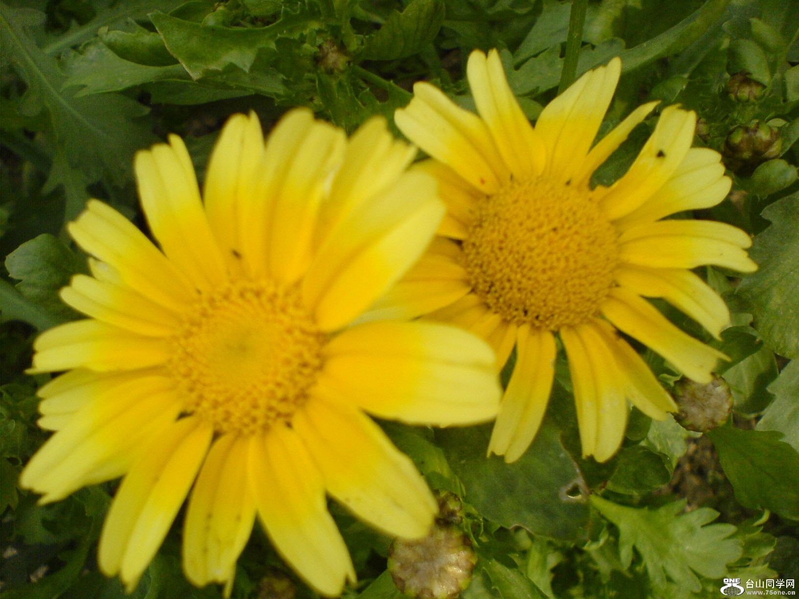 DSC05488.JPG