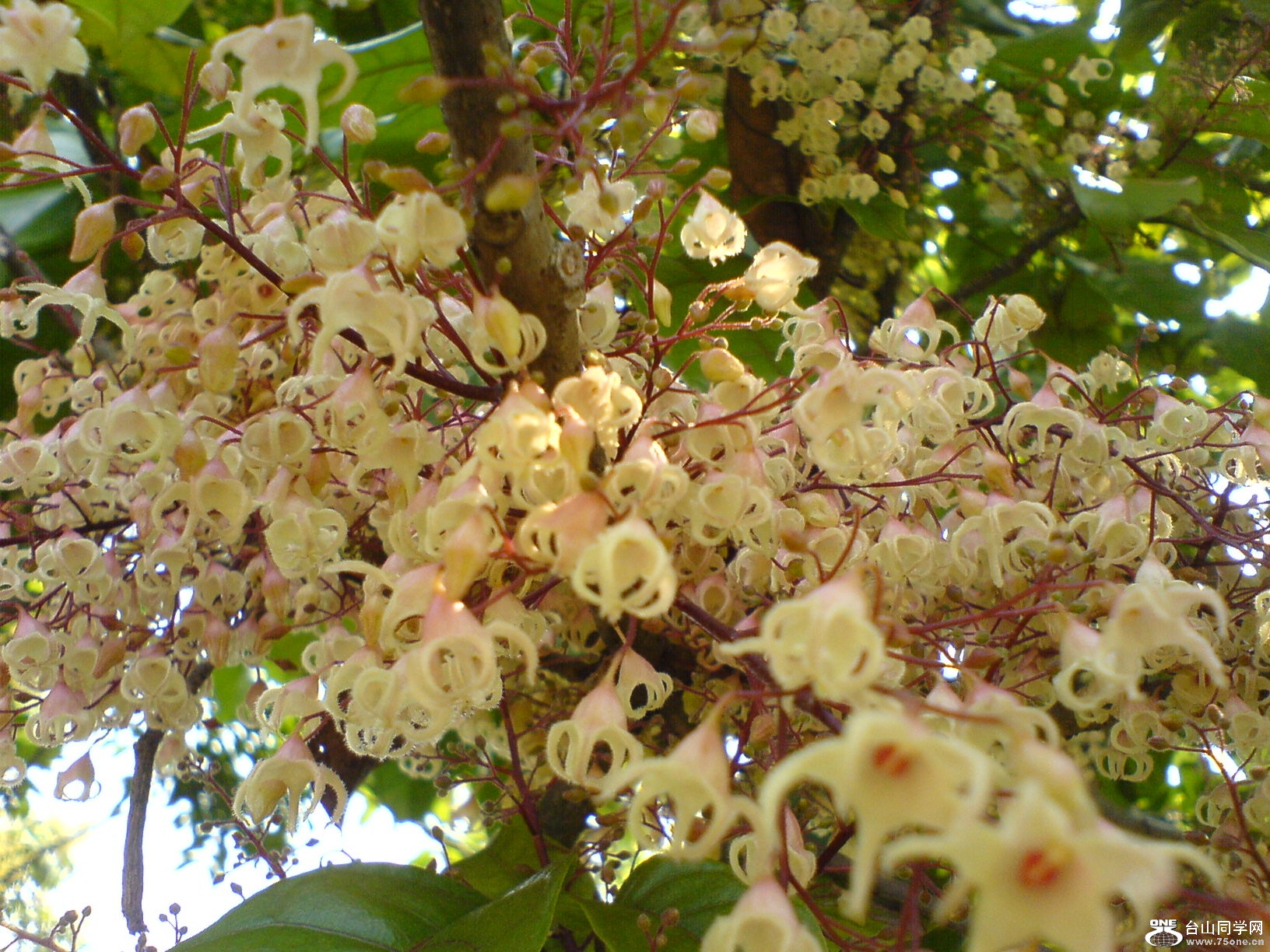 DSC05574.JPG
