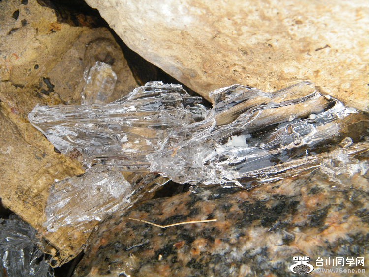 DSCF7615.JPG