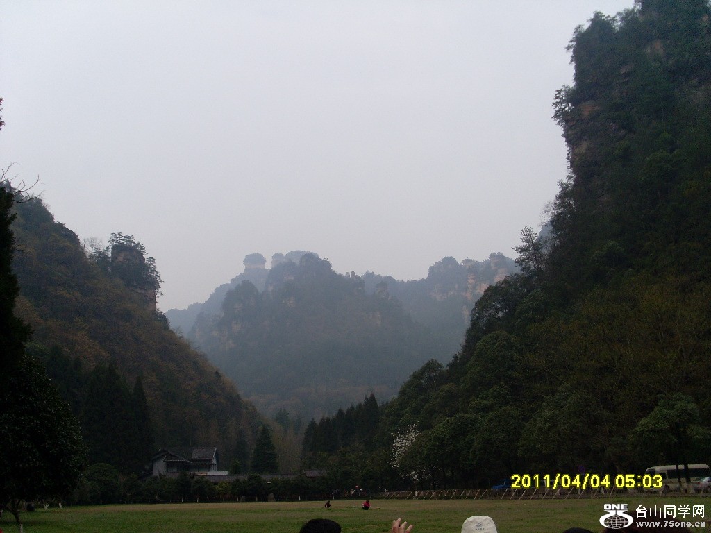 SL372431.JPG