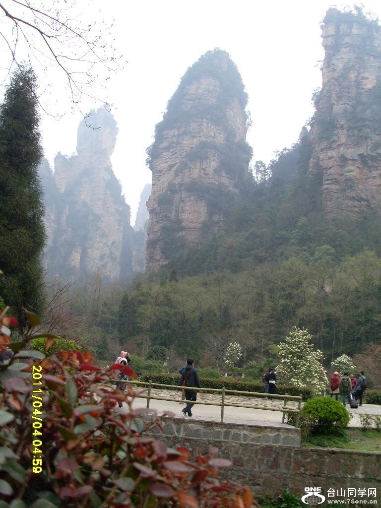 SL372427.JPG