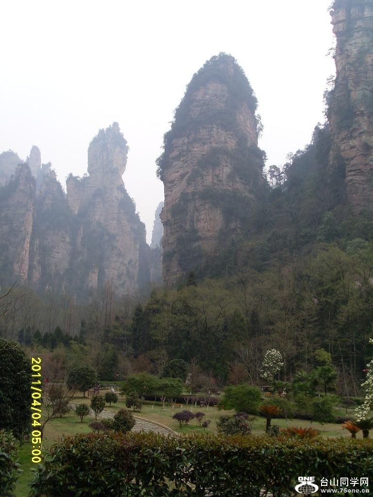 SL372429.JPG