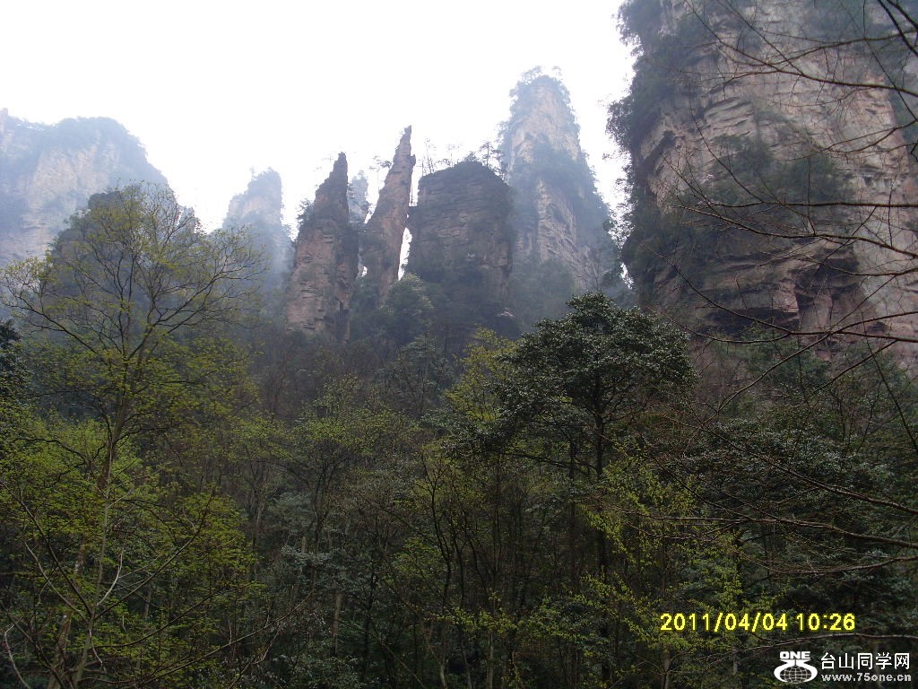 SL372485.JPG