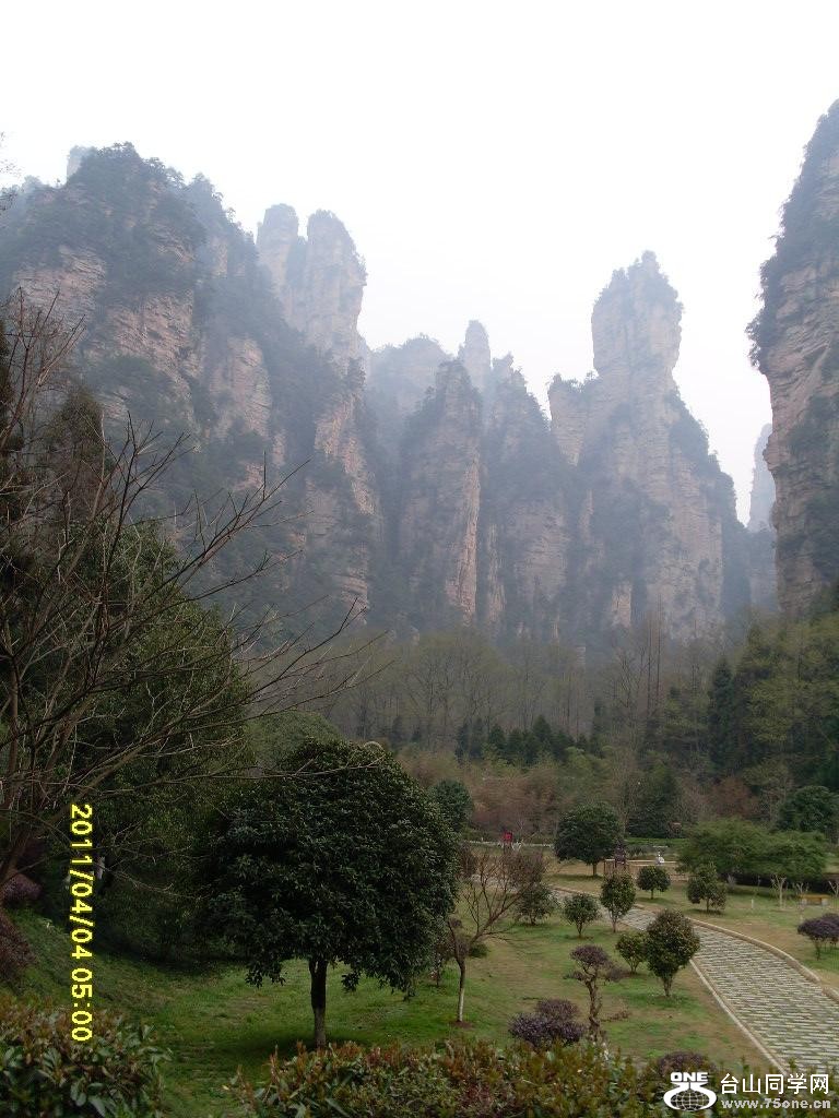 SL372430.JPG