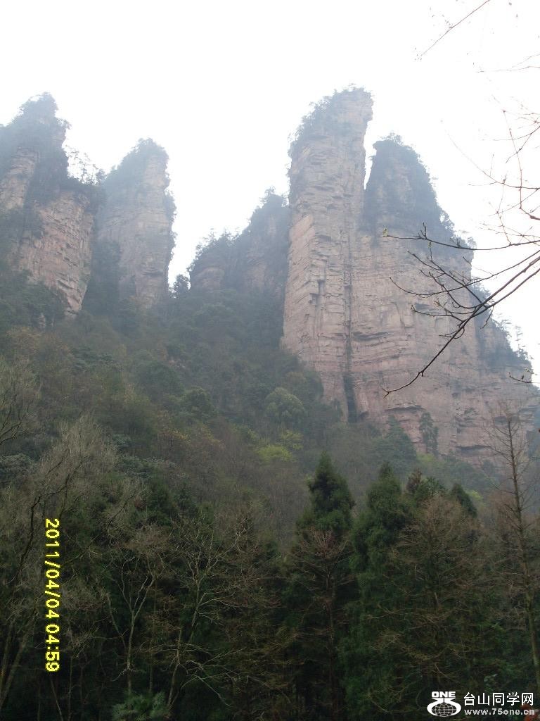 SL372428.JPG