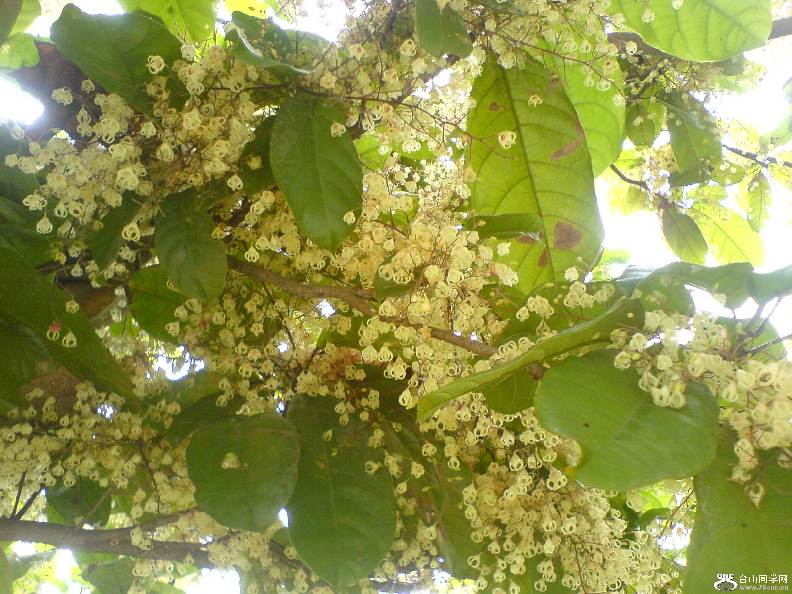 DSC05690.JPG