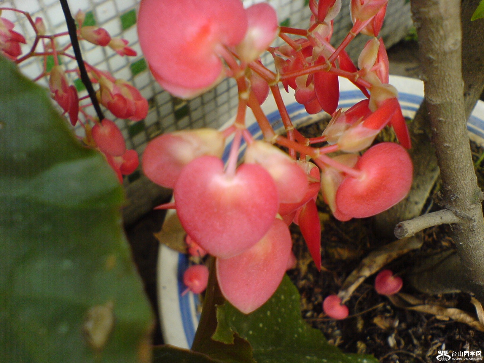 DSC05802.JPG