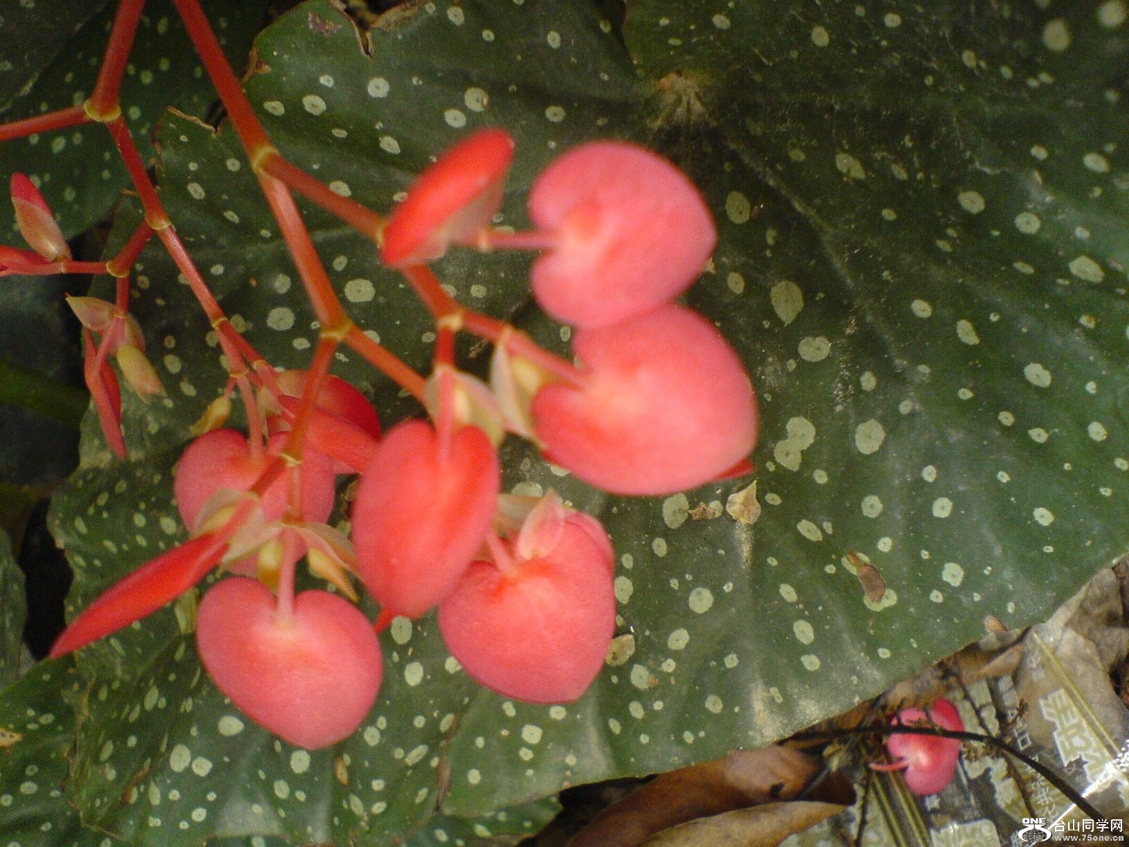 DSC05800.JPG