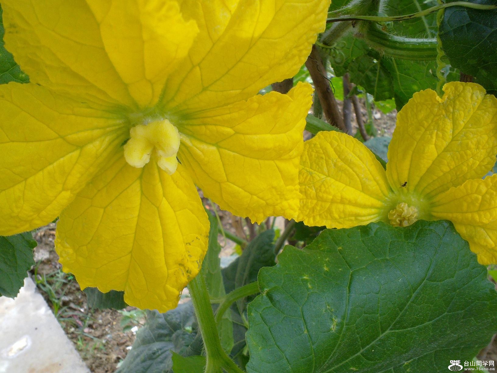 20110430021.jpg