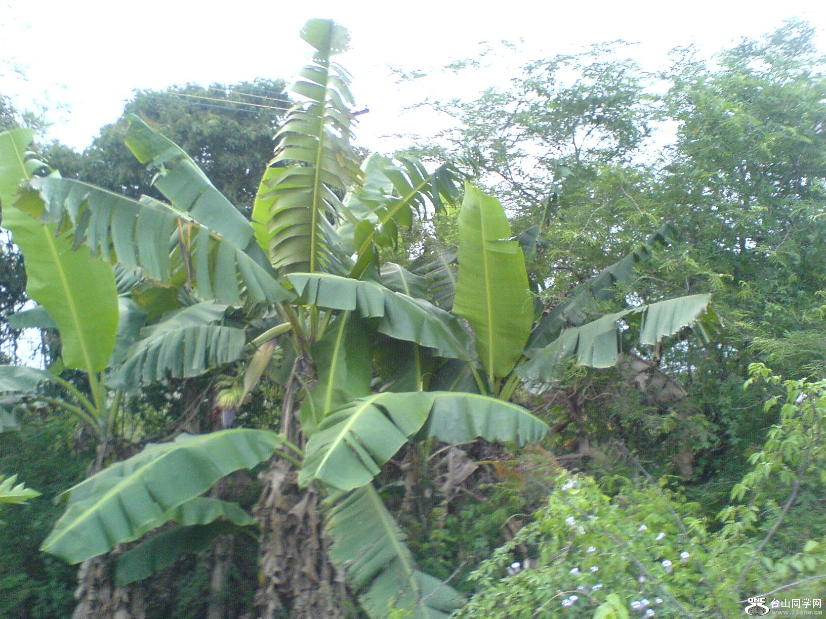 DSC05685.JPG
