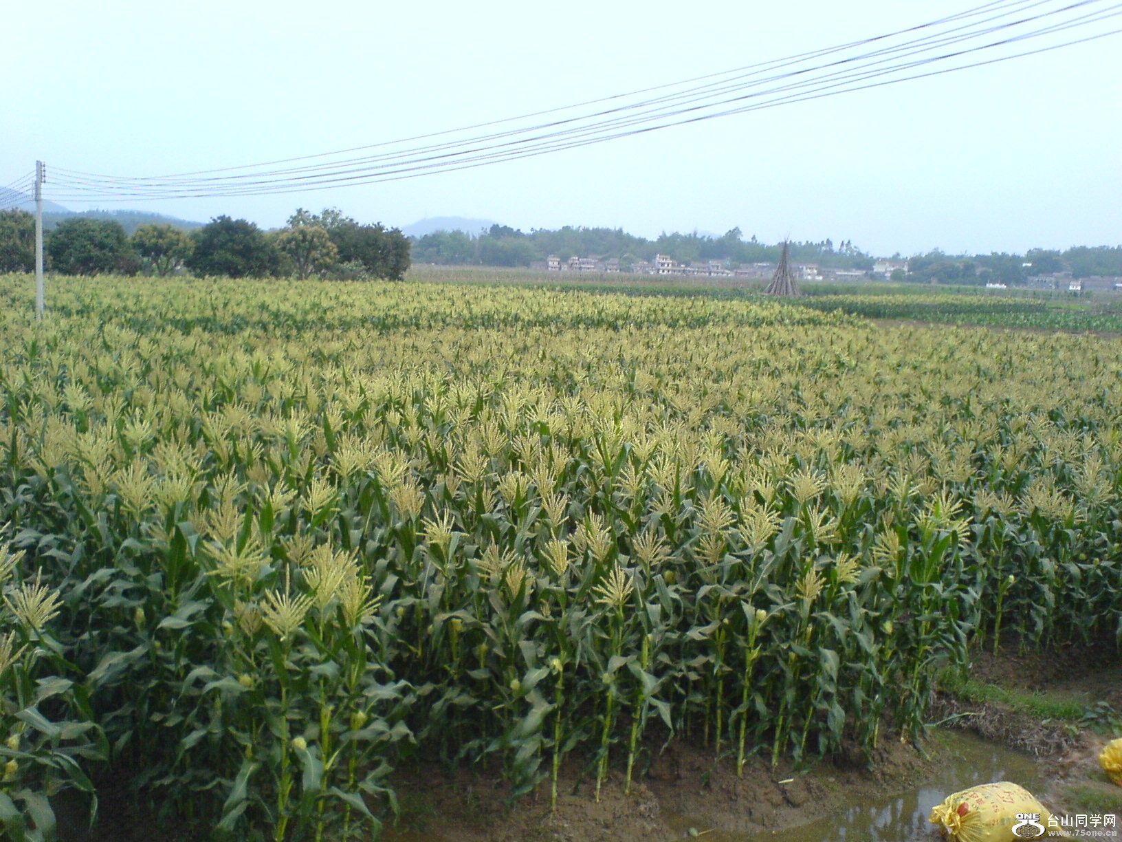 DSC05677.JPG