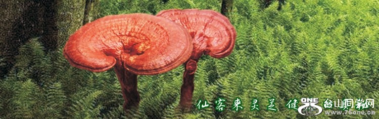 1925003.jpg