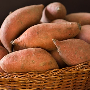sweetpotato291_20080910-154553.jpg