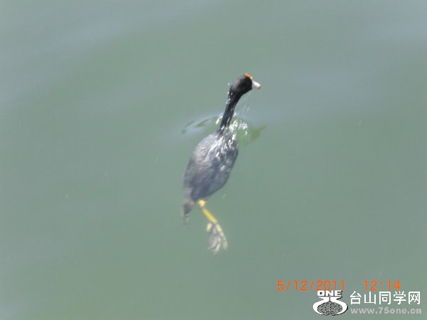 2011_05120176.JPG