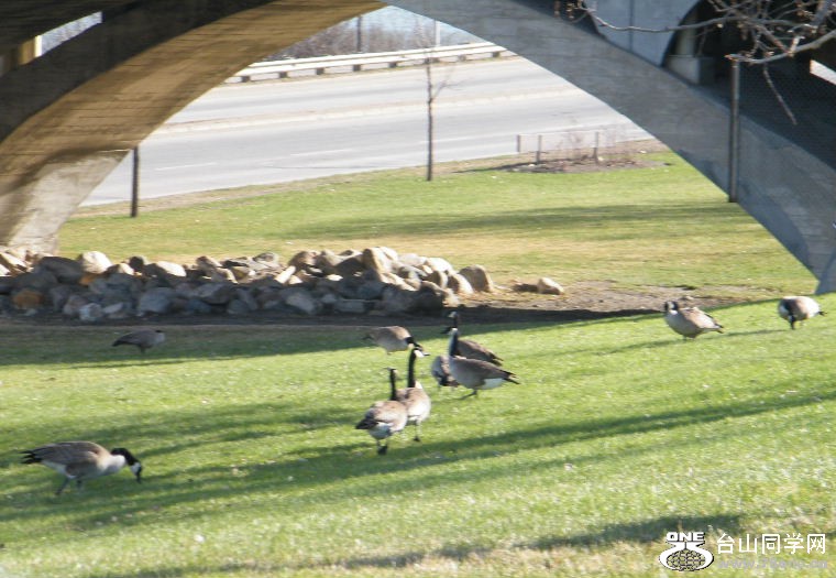 2011_0508desk0036.JPG