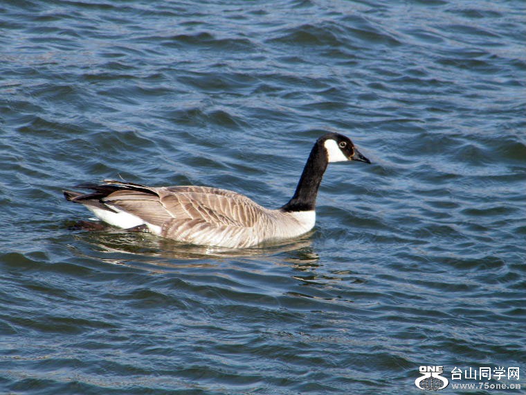 2011_0508desk0093.JPG