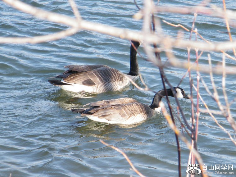 2011_0508desk0084.JPG