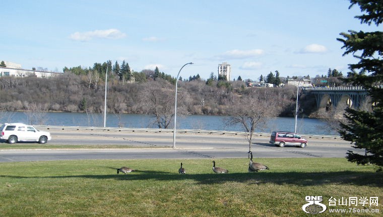 2011_0508desk0023.JPG