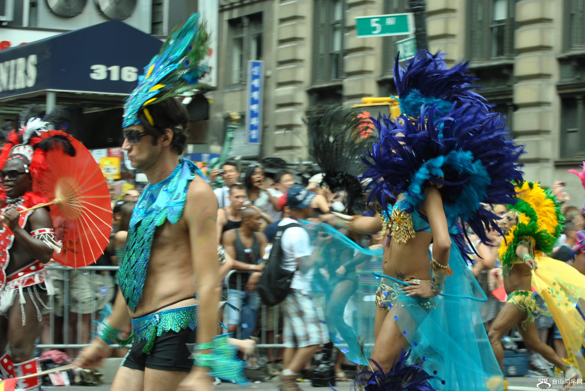 Picture 749.jpg