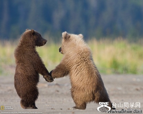 hold-hands-500x400[1].jpg
