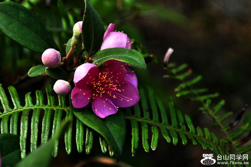 DSC_1565.jpg