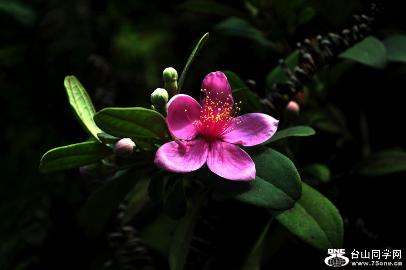 DSC_1578.jpg