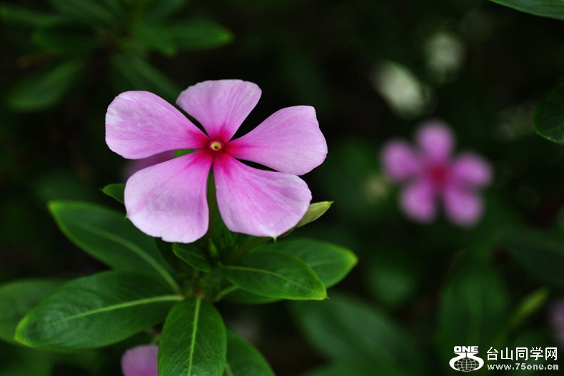 DSC_1408.jpg