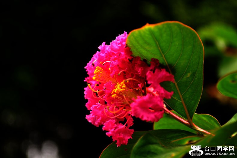 DSC_1444.jpg