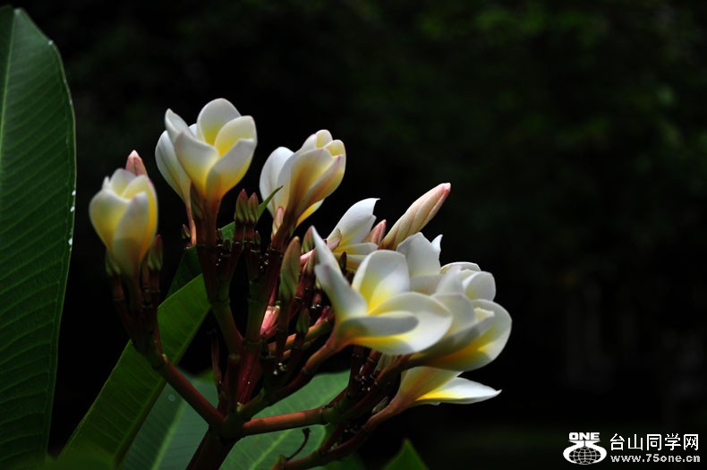 DSC_1412.jpg