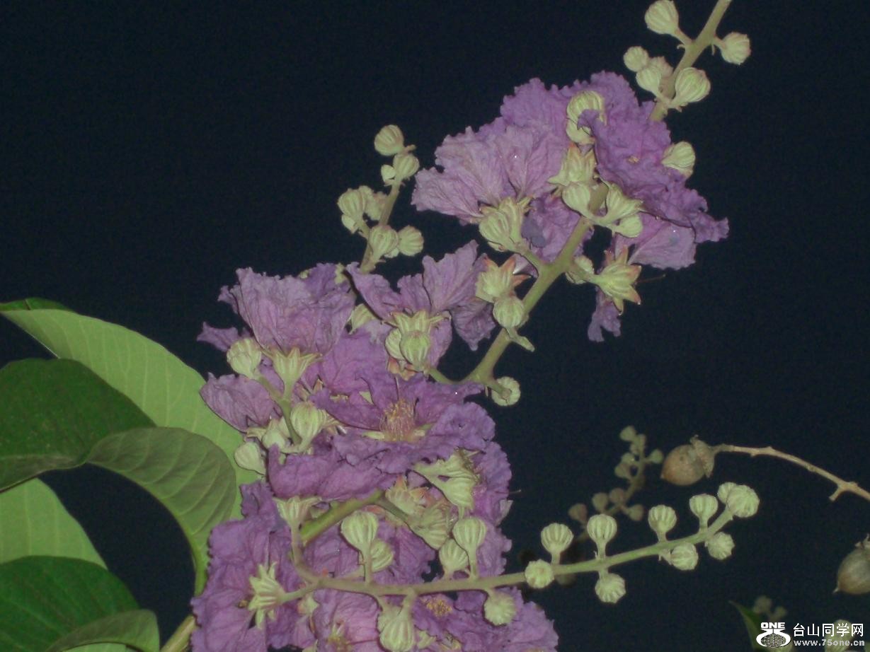 CIMG5660.JPG