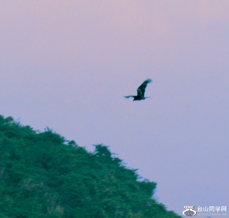 IMG_6826.jpg