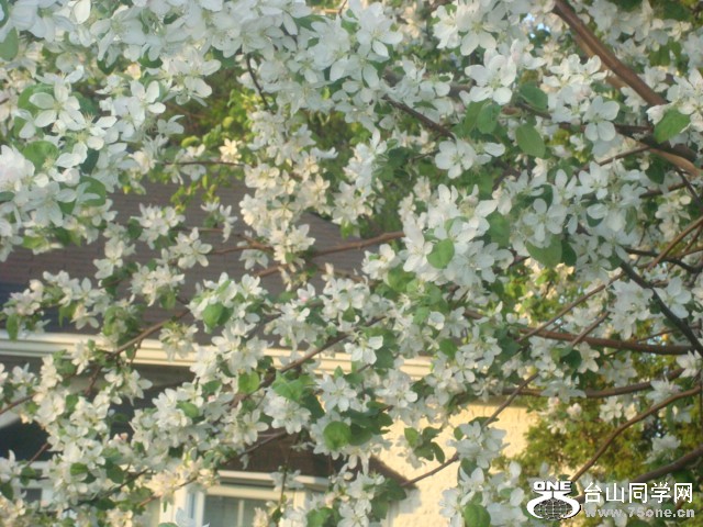 DSC01681.JPG