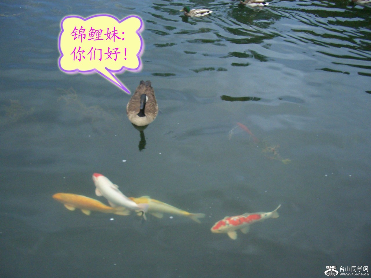 ɢ 042_conew1.jpg