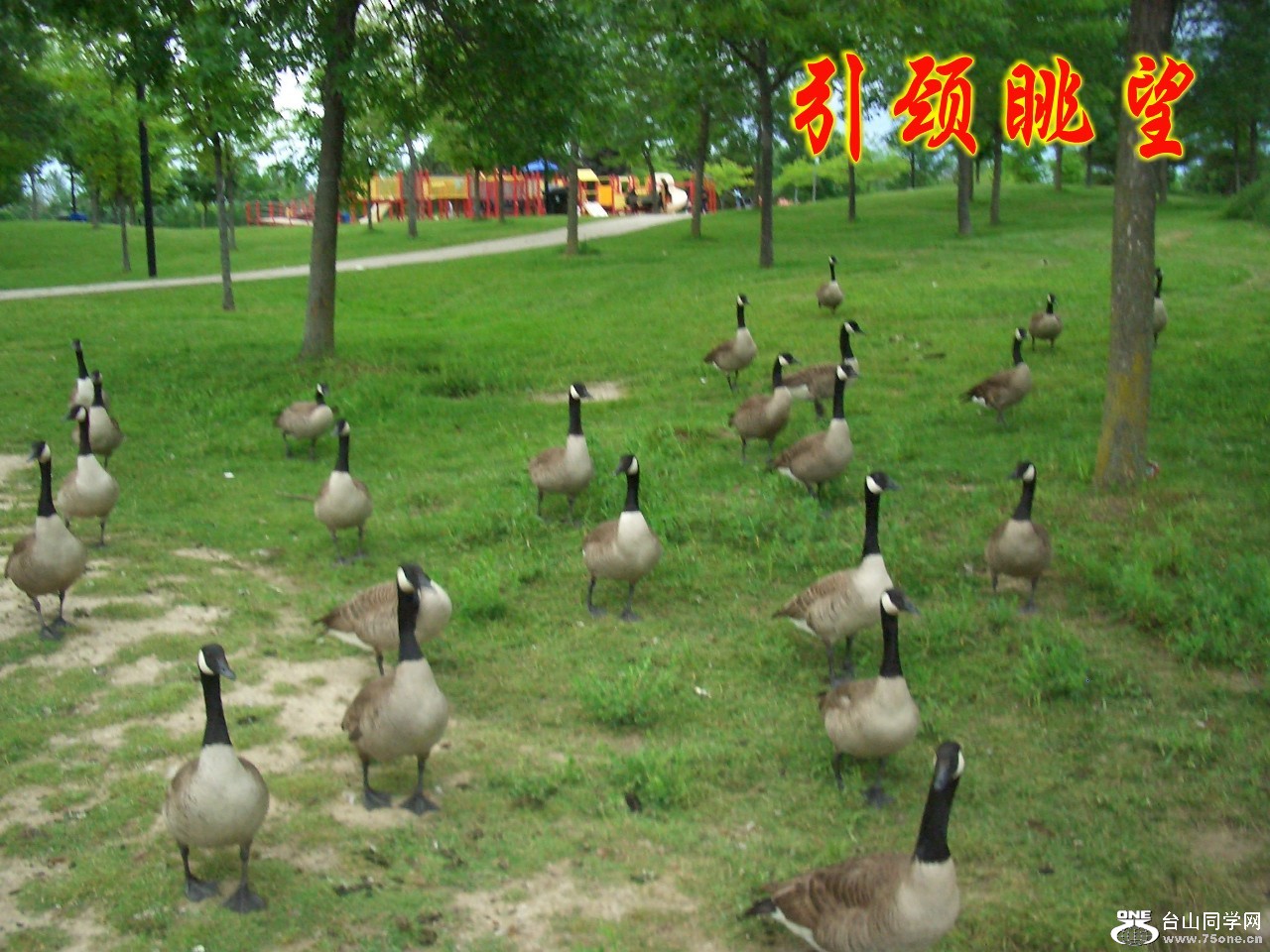 ɢ 055_conew1.jpg