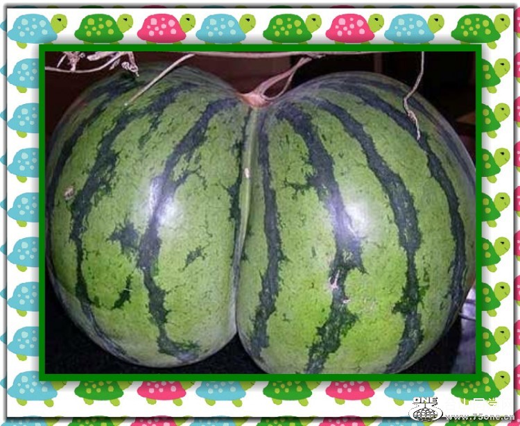 e3b329bd86ebab2f8ad4b253_conew1.jpg