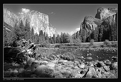 293941914_272d7a0b7f_m.jpg