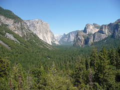 3874736256_c938dde673_m.jpg