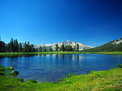 36843284_5d802d66ff_m.jpg