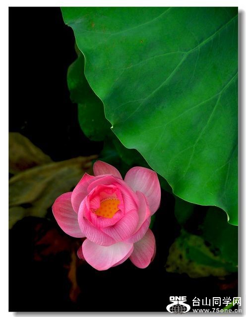 nEO_IMG_DSC_0188.jpg