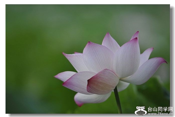 2_1897_50d4b866c9cd72b[1].jpg