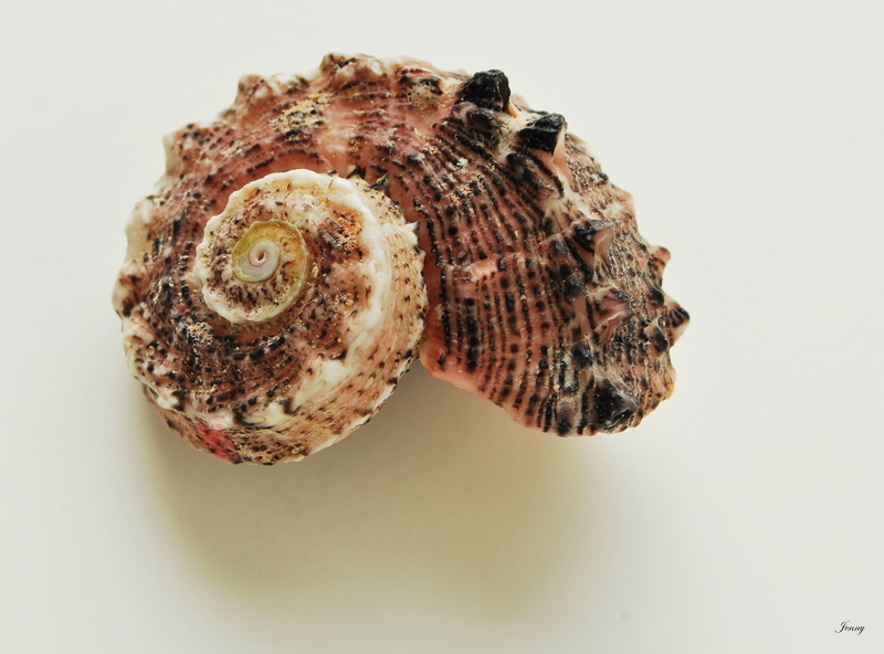 CSC_0121.JPG