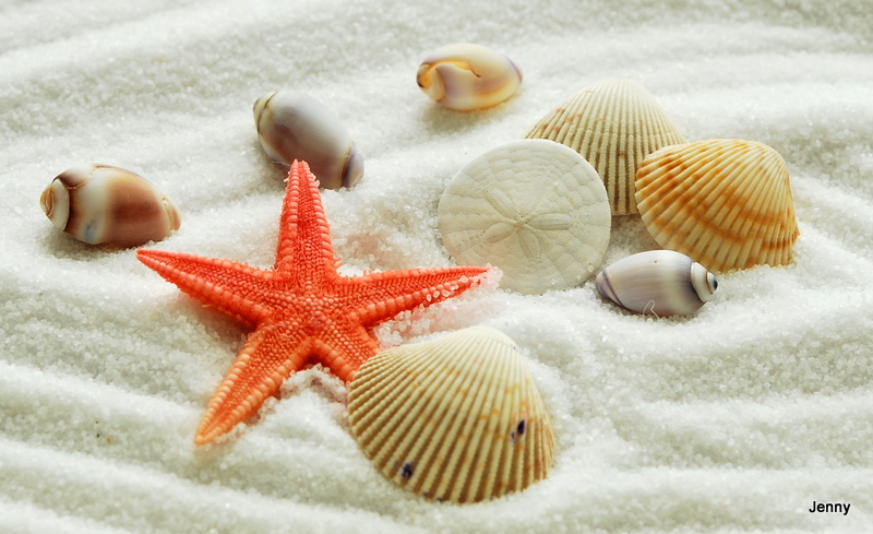 CSC_0124.JPG