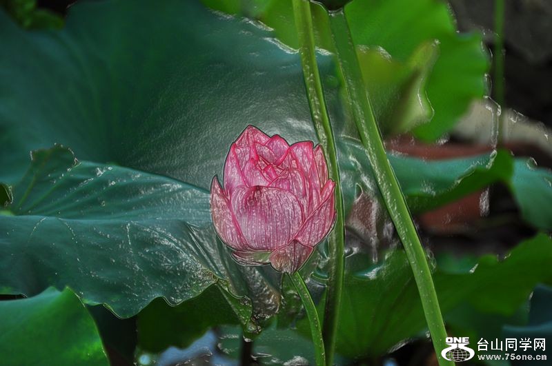 DSC_0016.JPG