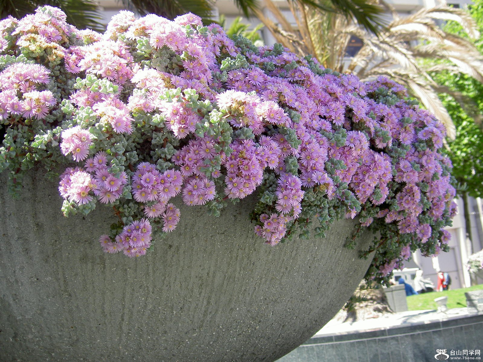 New Picture 1 197.jpg