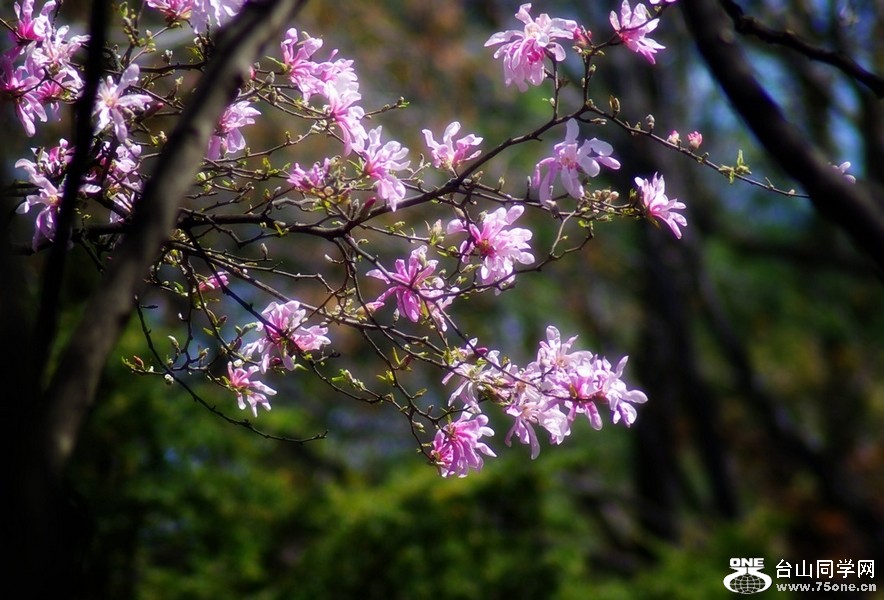 IMGP3396.jpg