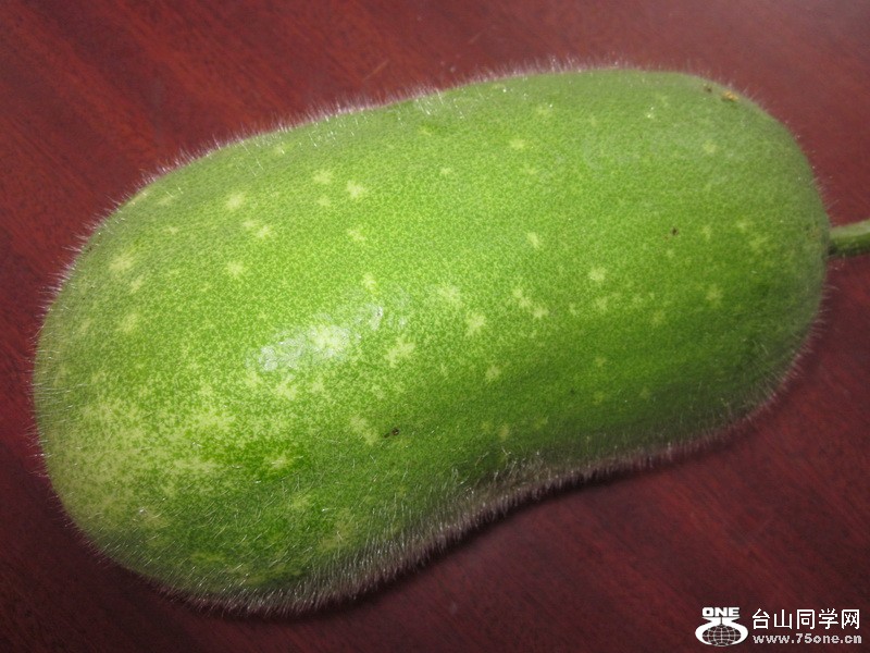 8738.jpg